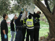  العثور على جثة شاب قُتل بظروف غامضة في متنزه "بن شيمن" قرب الرملة